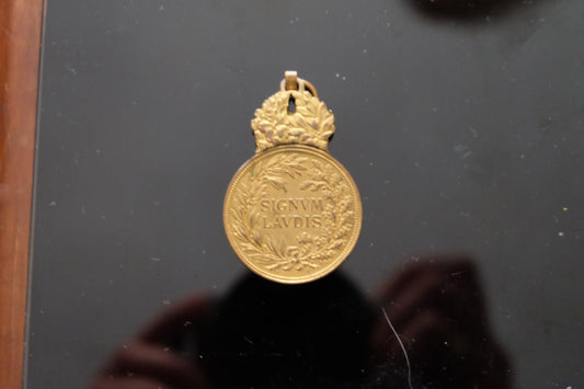 1917-1918 Medaila za vojenské zásluhy, Signum Laudis, Karol I.